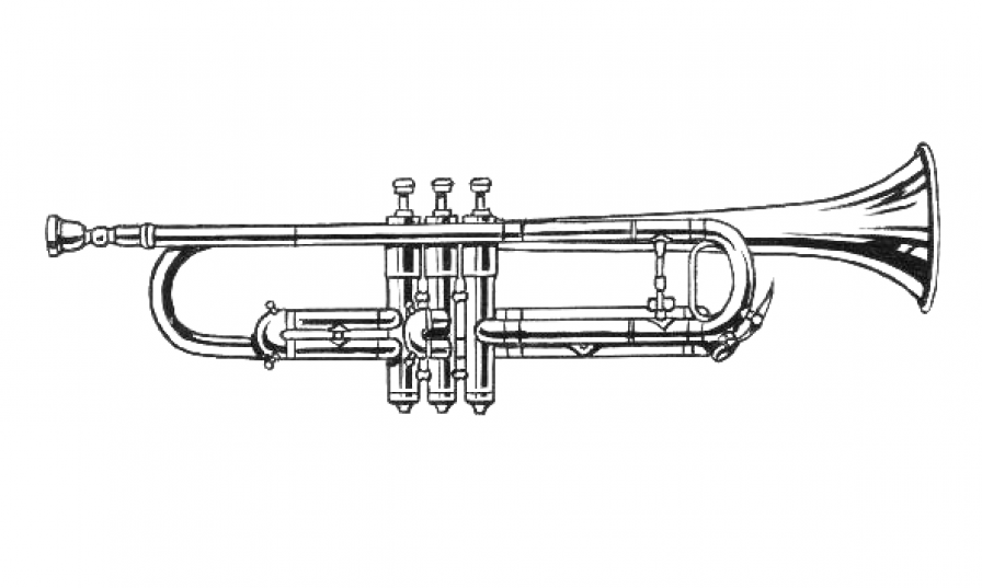 Illustration of a cornet