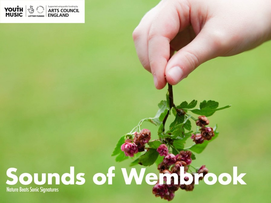 Image of Sounds of Wembrook track
