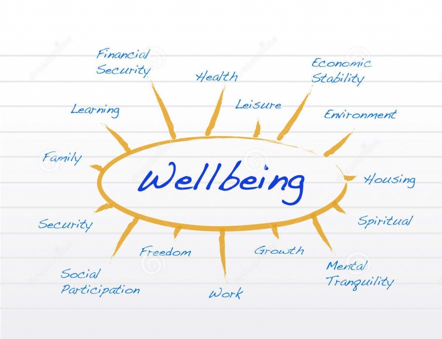 A wellbeing sun diagram with lots of lines coming off it saying things like 'learning, family, security, freedom, work, growth''