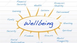 Organisational Wellbeing Empower Hour Sessions - Reflections